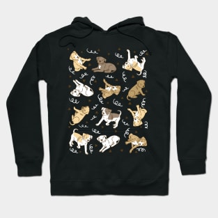 Pitbull Puppies Hoodie